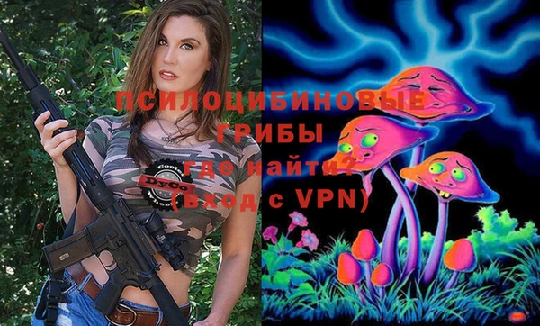 дживик Белая Холуница