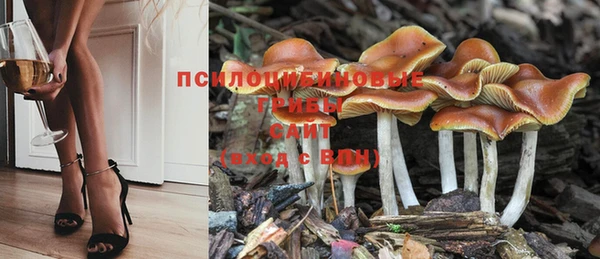 дживик Белая Холуница