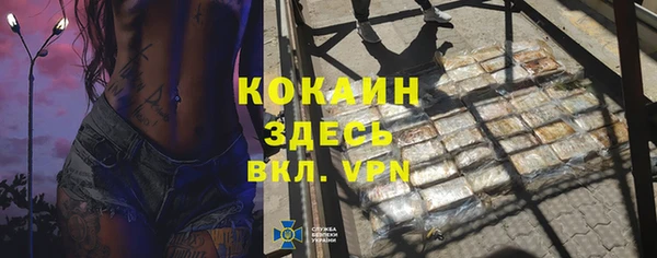 дживик Белая Холуница