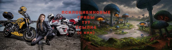 дживик Белая Холуница