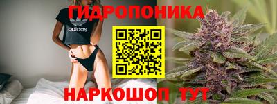 2c-b Будённовск