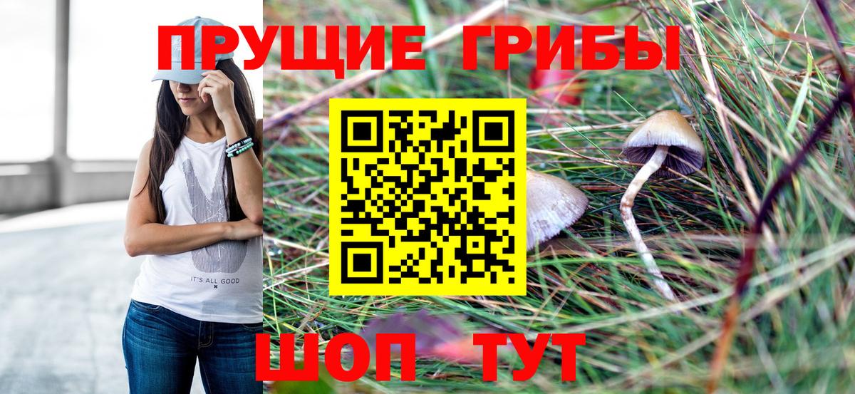 Галлюциногенные грибы Psilocybe  Галлюциногенные грибы прущие грибы  Гагарин 