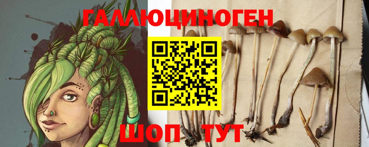 Псилоцибиновые грибы Psilocybe Гагарин