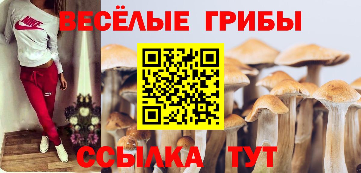 Гагарин  NBOMe  Мефедрон   Вход с VPN  COCAIN  Alpha-PVP СК кристаллы  Конопля  КОКАИН  Гашиш 