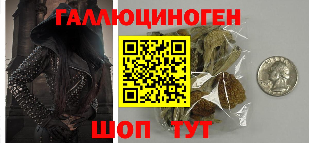 Псилоцибиновые грибы Psilocybine cubensis  Псилоцибиновые грибы мицелий  Вход с VPN  Гагарин 